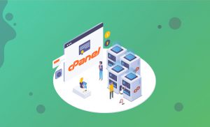 CPanel Dns Ekleme, A kaydı Ve Mx Kaydı İşlemleri