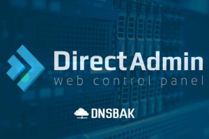 DirectAdmin DNS Ayarları (Versiyon 1.61)