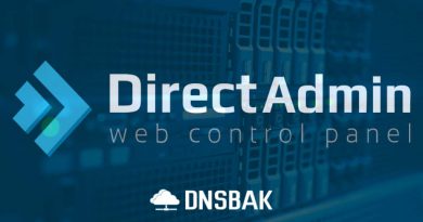 Direct Admin DNS
