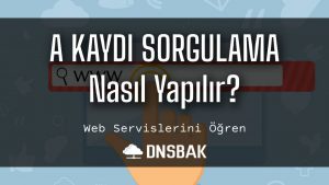 A Kaydı Sorgulama – A Record Check